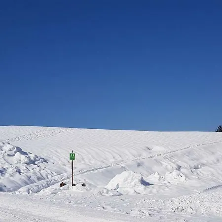 Zum Alten Forsthaus Гостевой дом *