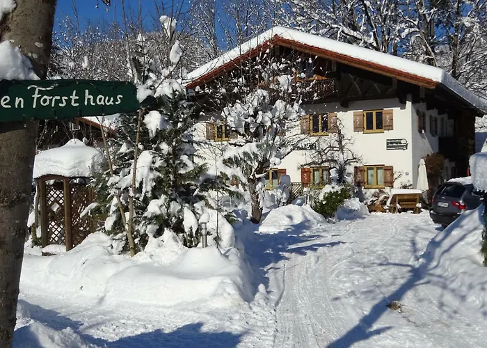 Zum Alten Forsthaus Affittacamere