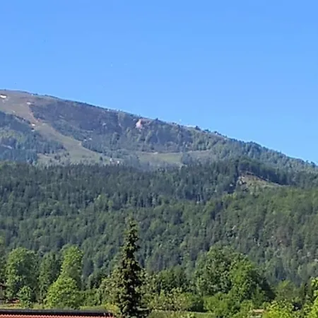 Zum Alten Forsthaus Guest house